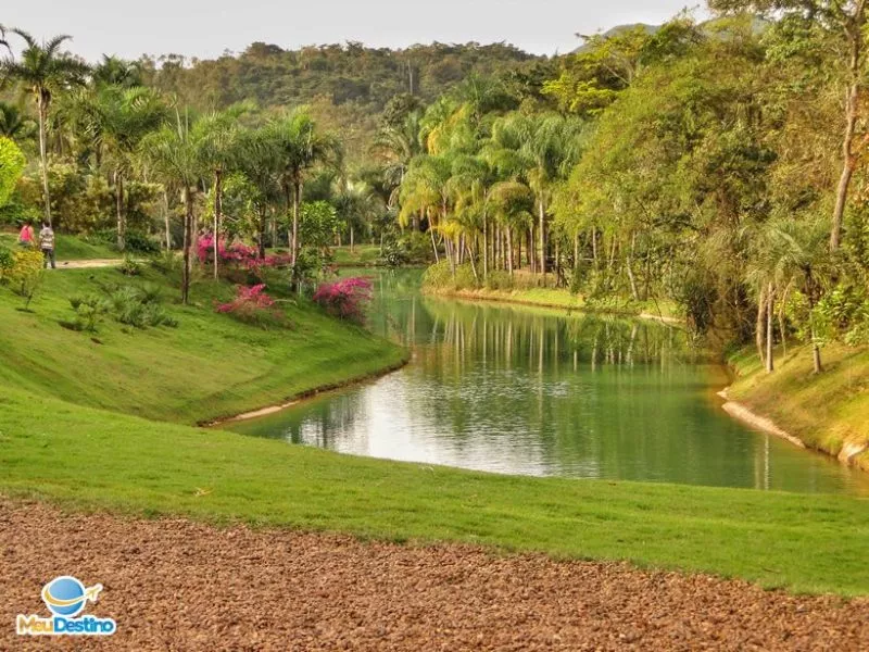 Inhotim - MuseumWeek