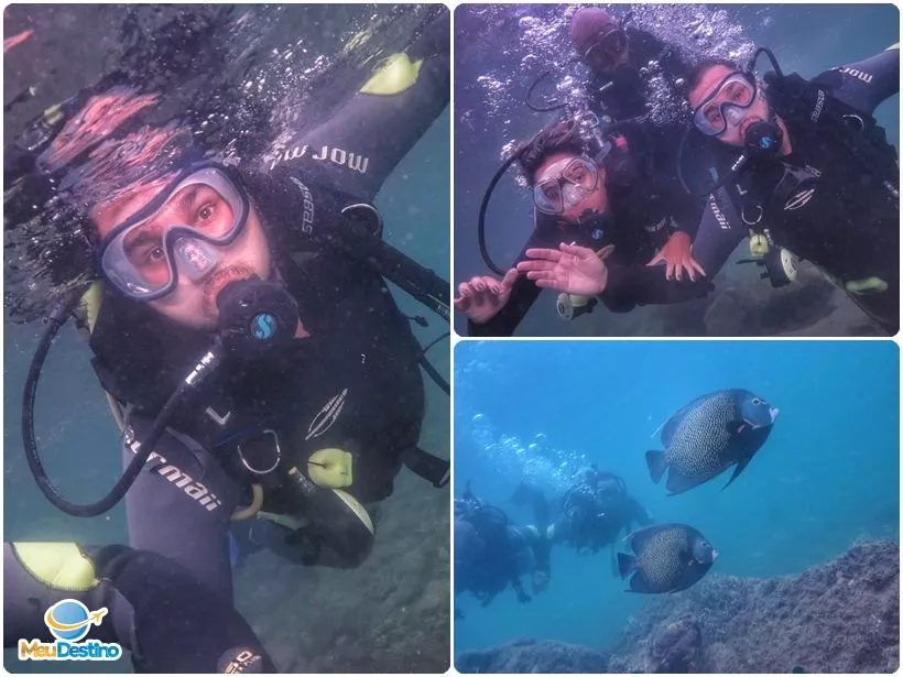 Mergulho na Ilha das Cabras - Ilhabela-SP