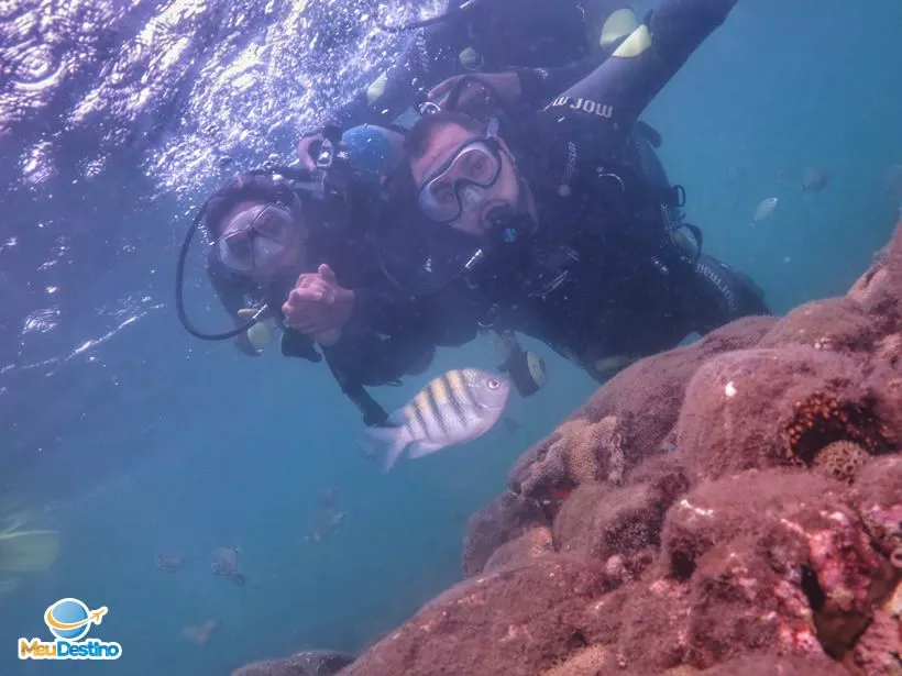 Mergulho na Ilha das Cabras - Ilhabela-SP