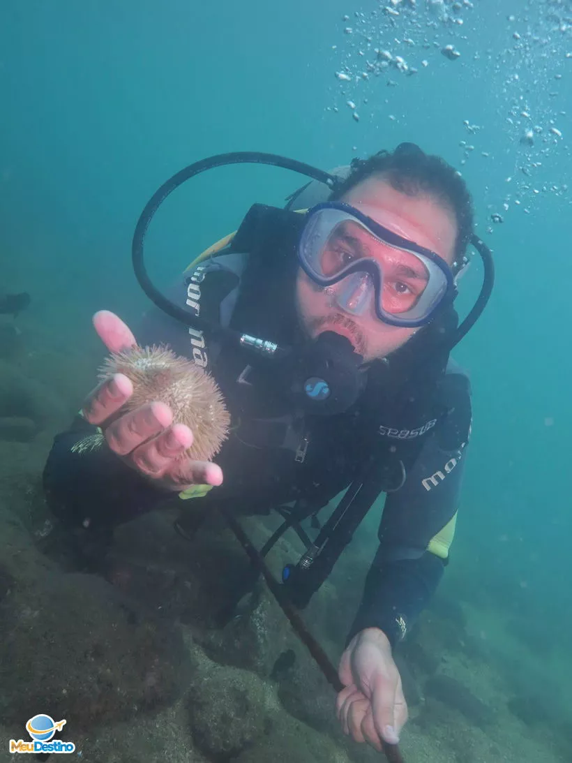 Mergulho na Ilha das Cabras - Ilhabela-SP