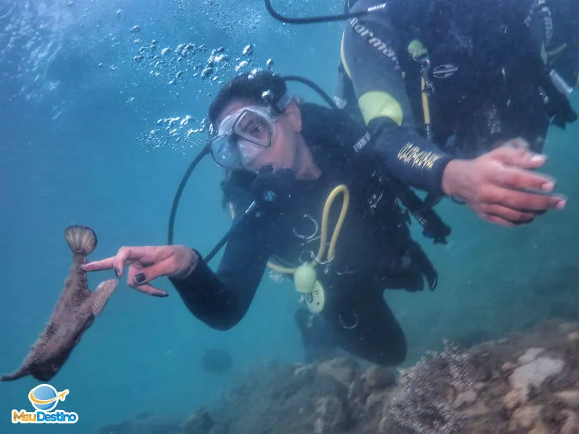 Mergulho na Ilha das Cabras - Ilhabela-SP