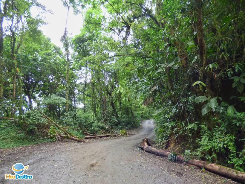 Caminho pela estrada de terra