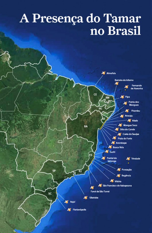 Bases do Projeto TAMAR espalhadas pelo Brasil. Foto: Projeto TAMAR