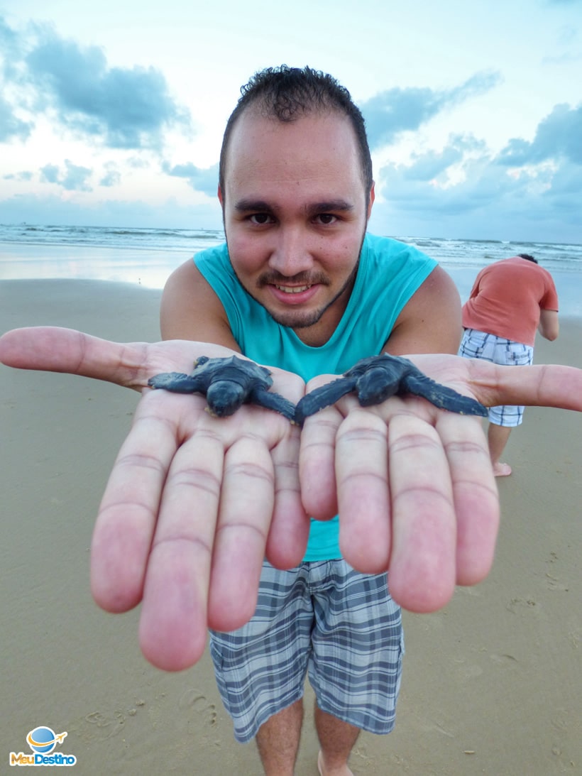 Participando da soltura de tartarugas marinhas ao mar, no Projeto TAMAR de Aracaju - Retrospectiva de Viagens 2016