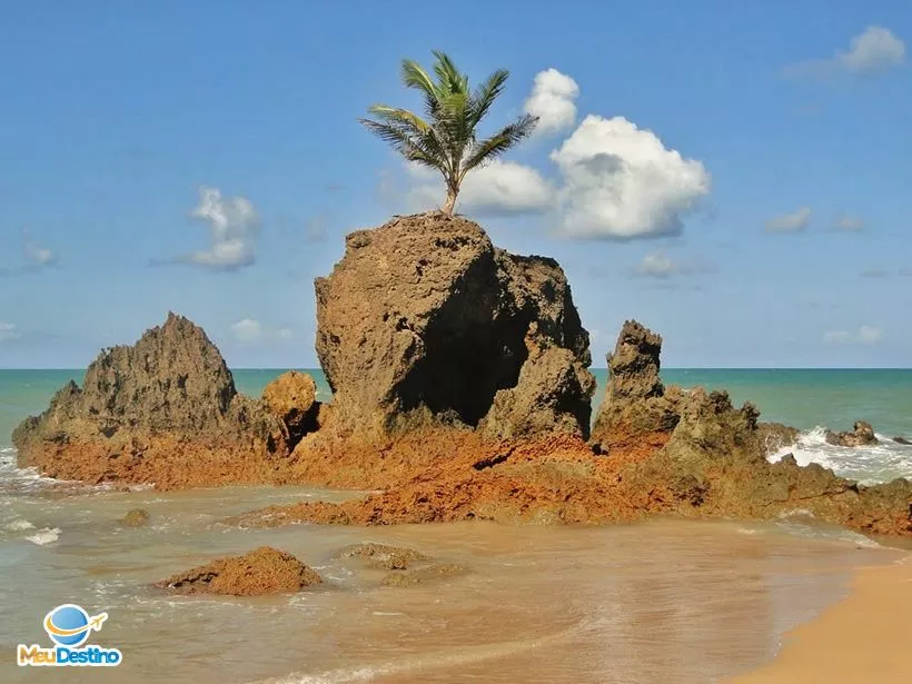 Praia de Tambaba - As melhores praias da Paraiba