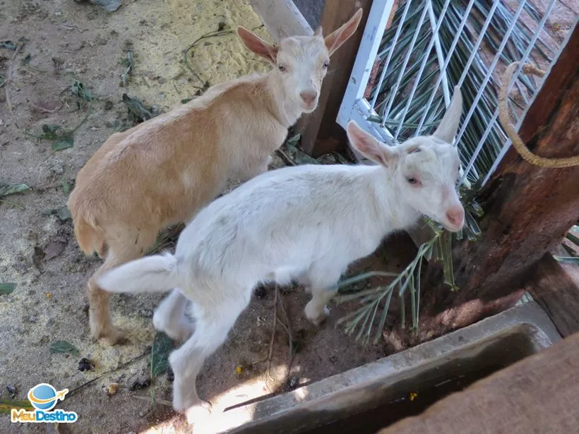 Hotel Fazenda Granja Glória - Itaúna-MG