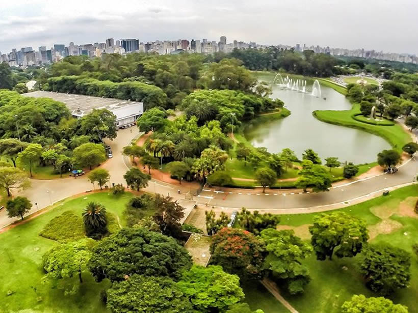 Parque do Ibirapuera - São Paulo-SP