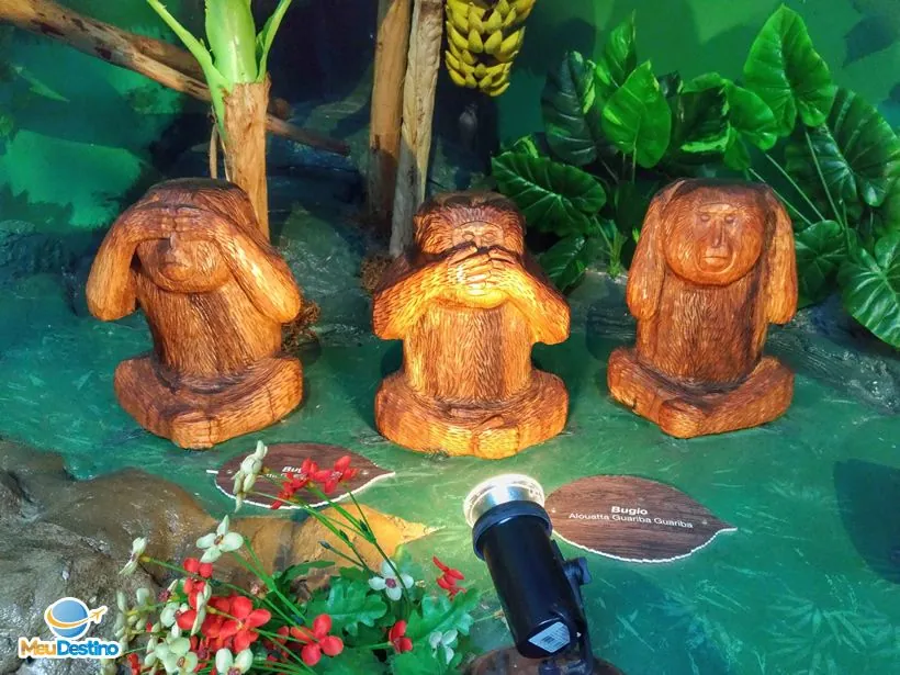 Bondinhos Aéreos Parques da Serra - Canela-RS