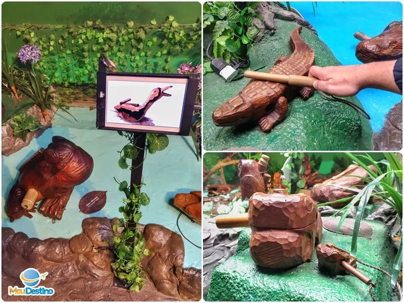 Bondinhos Aéreos Parques da Serra - Canela-RS