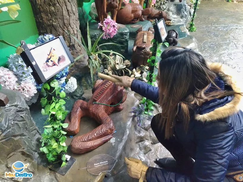 Bondinhos Aéreos Parques da Serra - Canela-RS