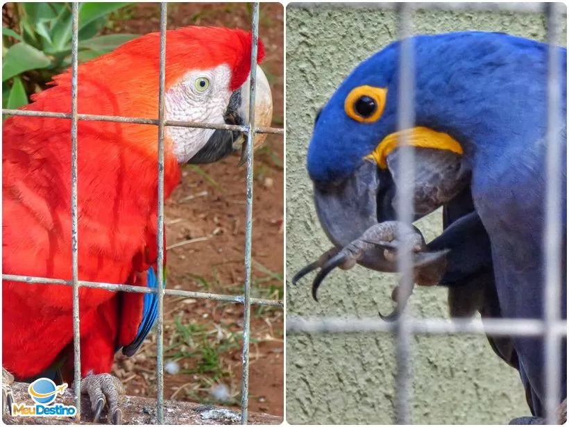 Zoológico de Goiânia-GO