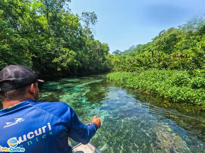 Flutuação no Rio Sucuri - Bonito-MS