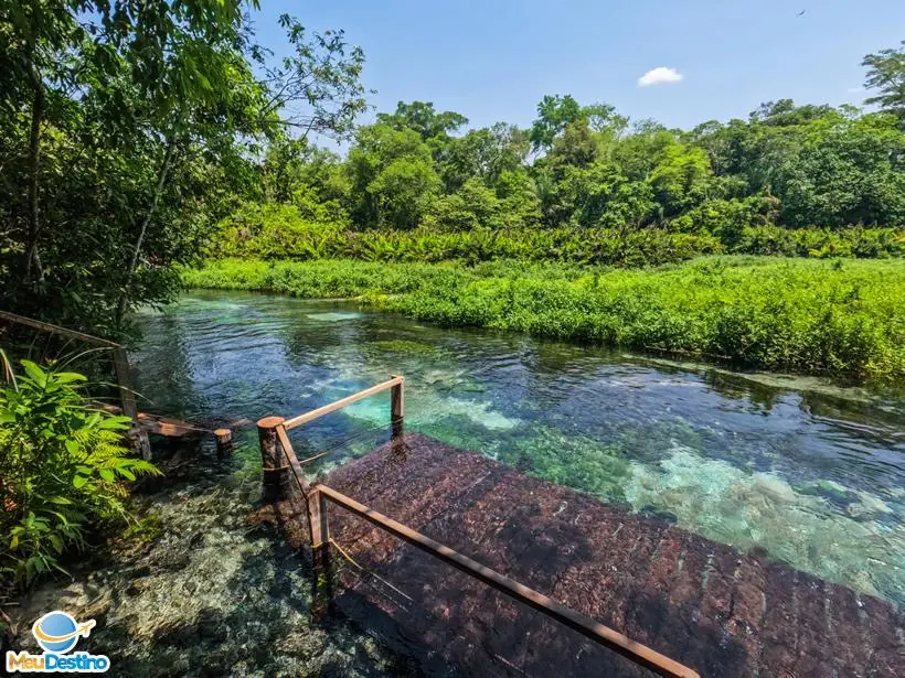 Flutuação no Rio Sucuri - Bonito-MS