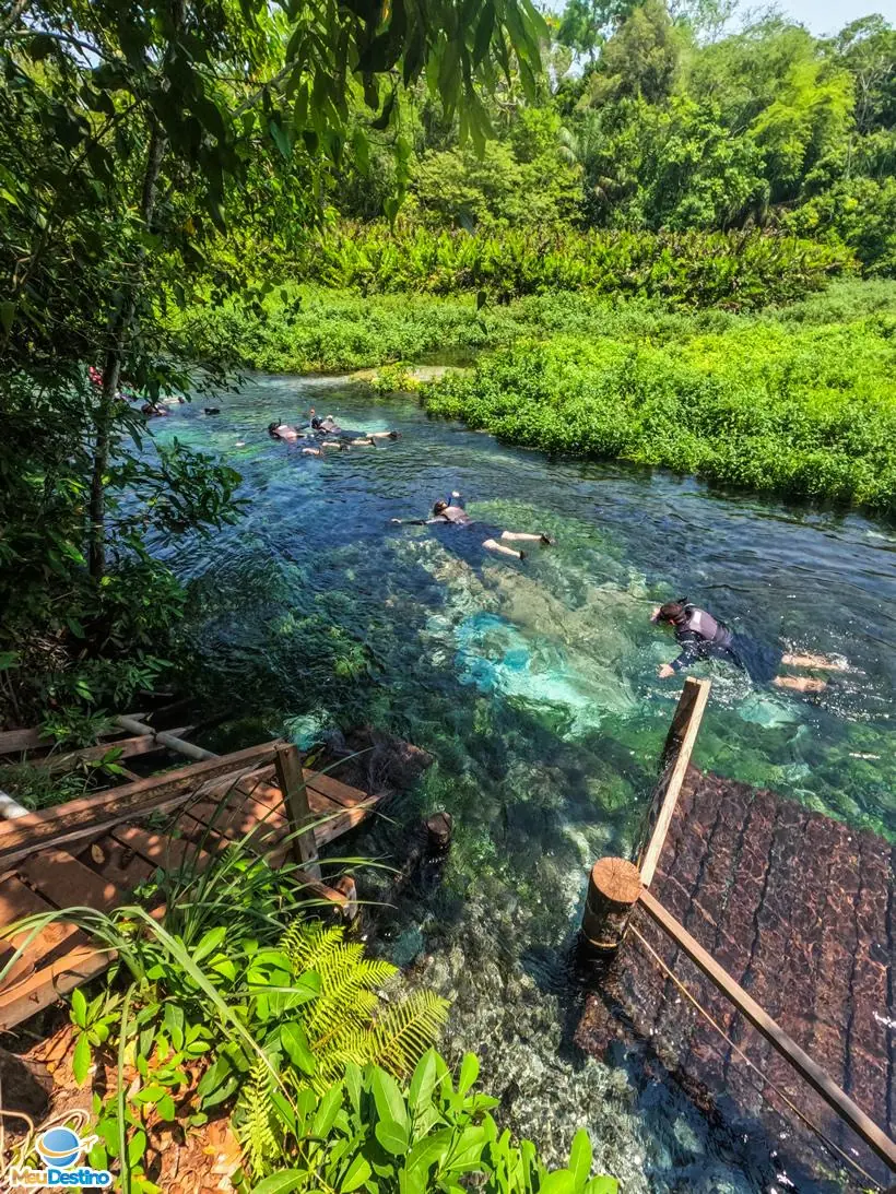 Flutuação no Rio Sucuri - Bonito-MS