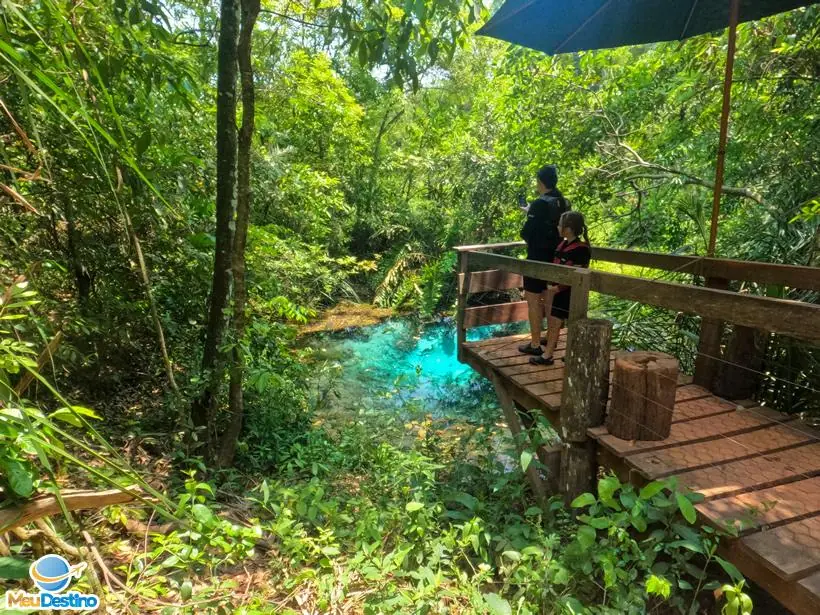 Flutuação no Rio Sucuri - Bonito-MS