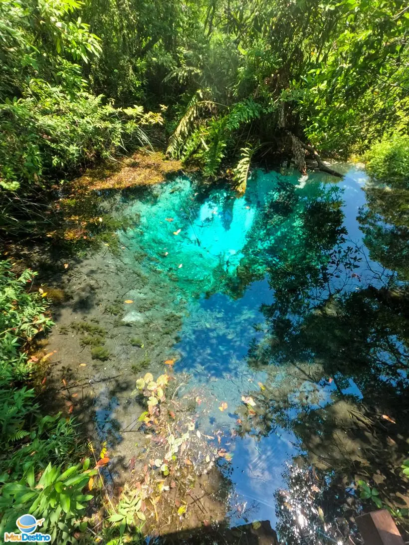 Flutuação no Rio Sucuri - Bonito-MS