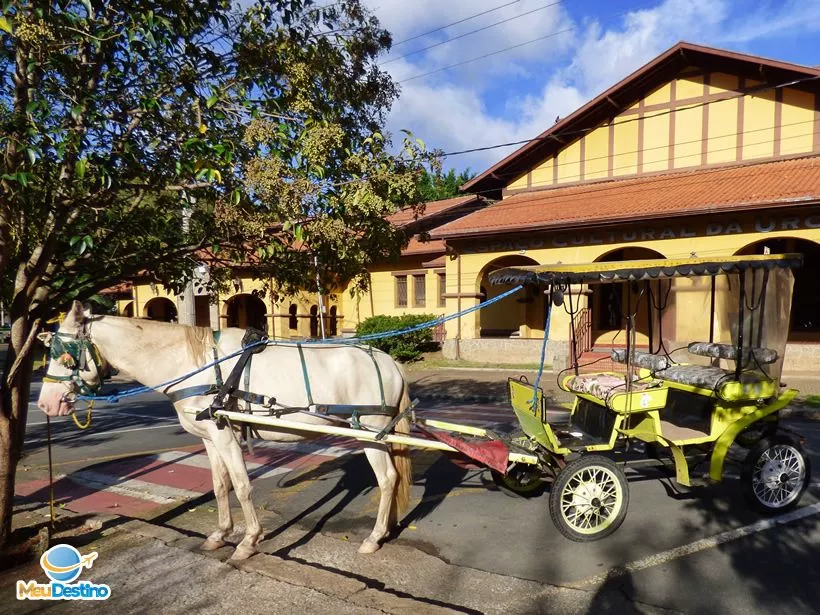 Passeio de Charrete