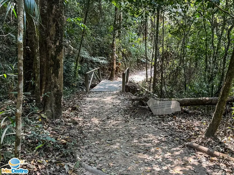 Trilha no Parque Nacional da Serra da Canastra - São Roque de Minas-MG